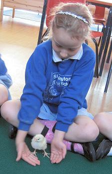 A bird in the hand..... A bird in the hand.....