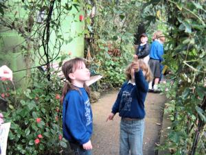 Visit to Wild Britain